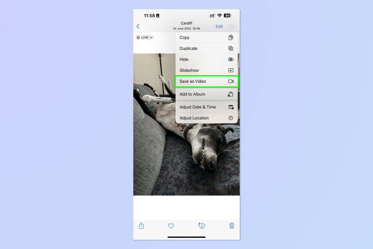 how-to-turn-a-live-photo-into-a-video-on-iphone-and-ipad-tom-s-guide