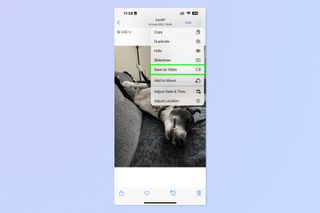 A screenshot showing how to turn a Live Photo into a video on iPhone