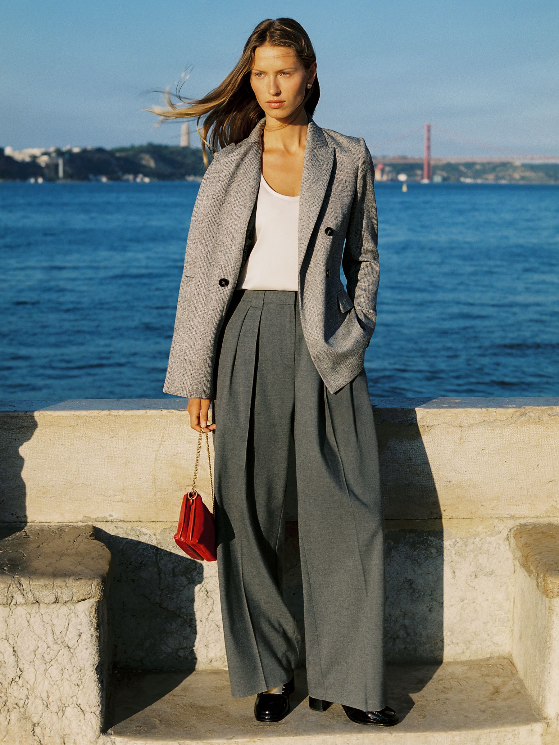 Wide-Leg Pleated Trousers in Grey