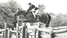 Sue-Benson_405010261_734542812.jpg