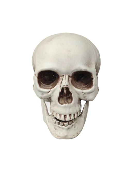 Halloween Skeleton Skull Statue