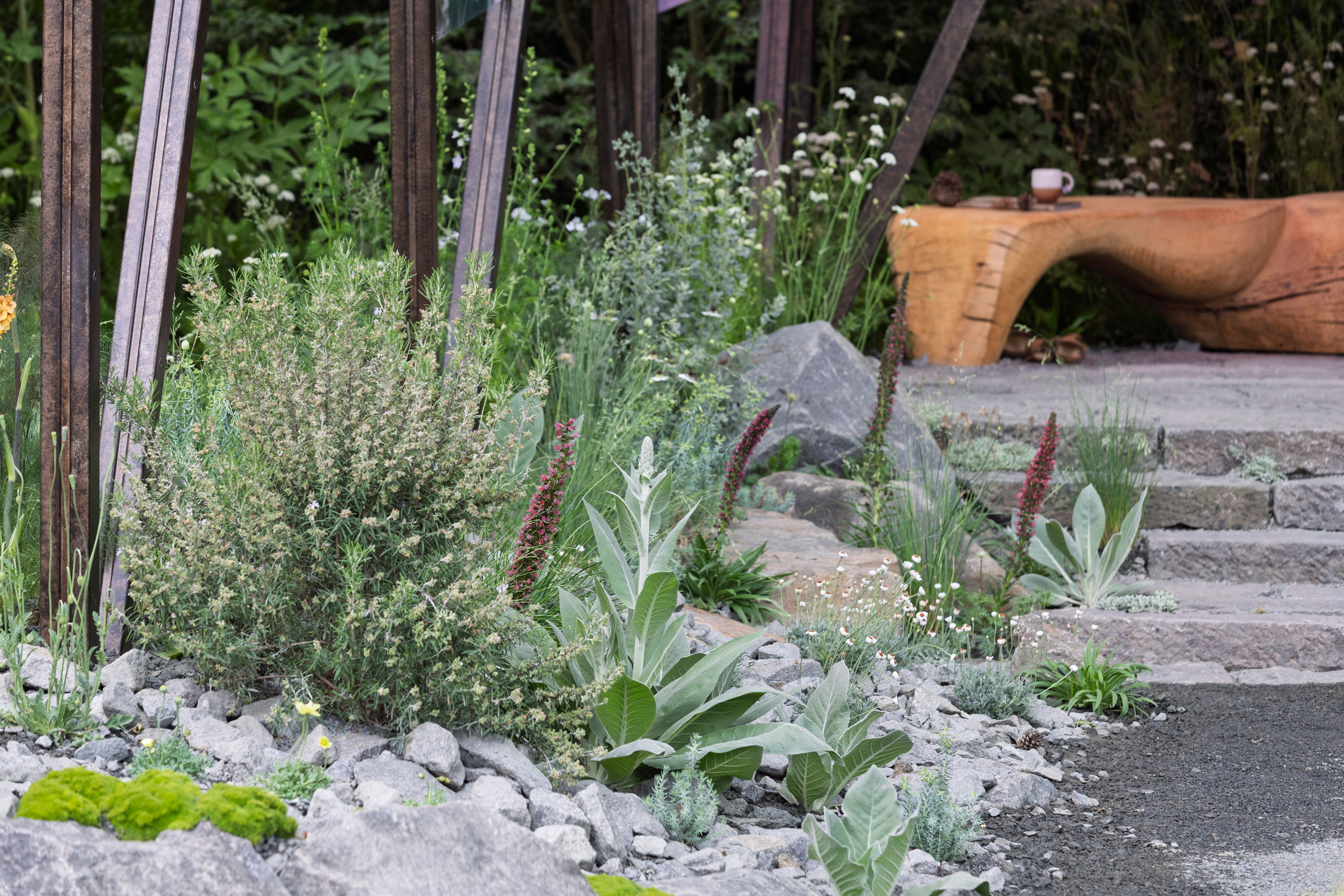 rock garden with succulent plants, garden steps and wooden bench