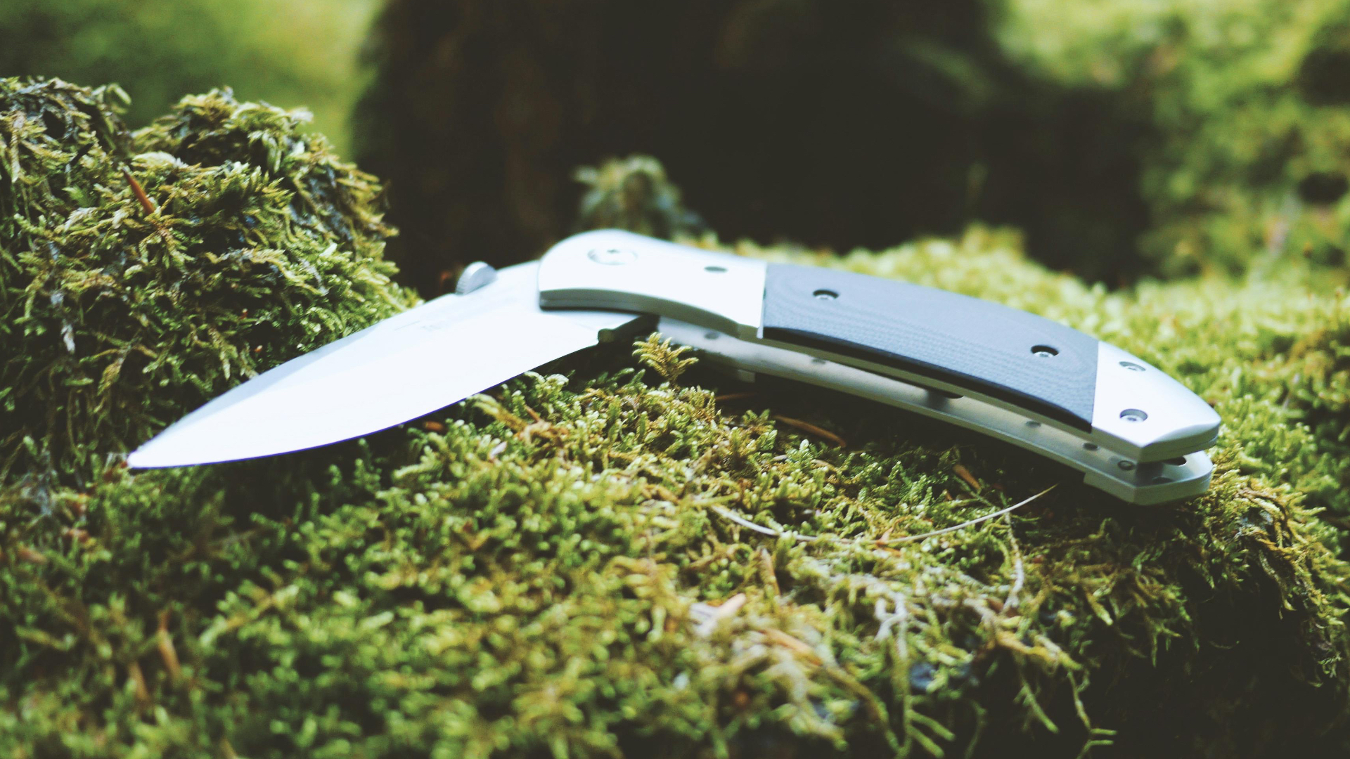 camping knife on moss