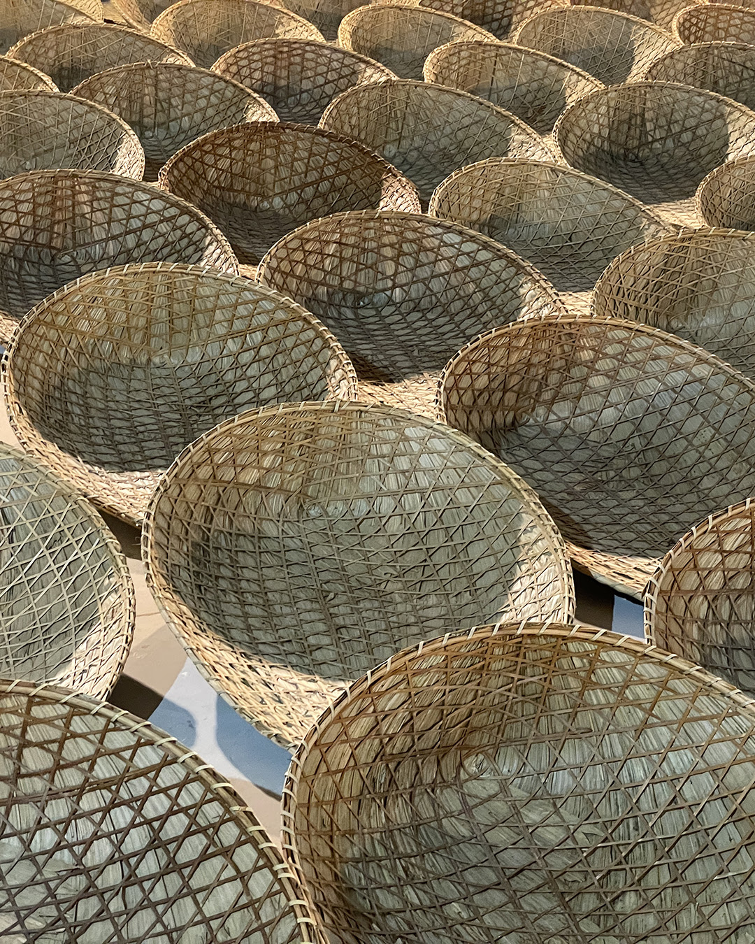The Pangolin Shield