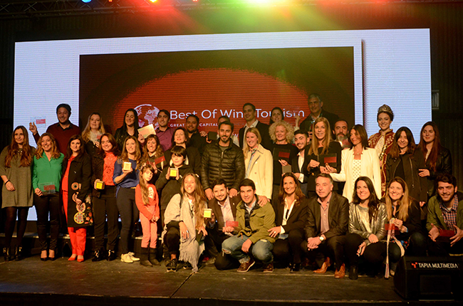 Mendoza best of wine tourism