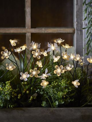 how much does garden lighting cost?: daisy shaped fairy lights in windowsill from lights4fun