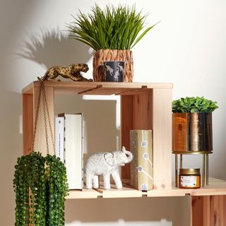 toy shelf with book and potted plant