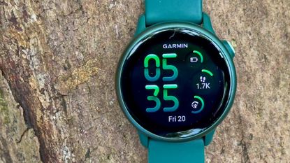 Garmin Vivoactive 6 review