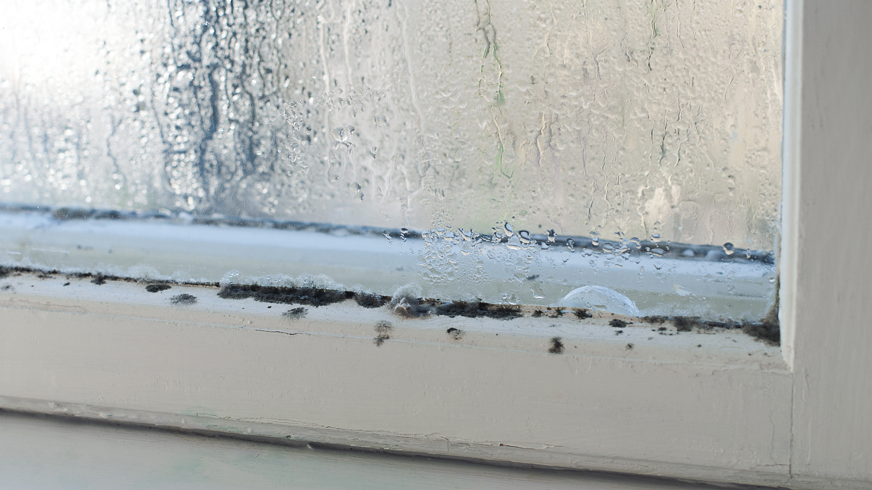 Stop window condensation and pools of water in the morning : r/howto