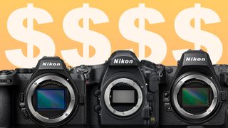 Nikon cameras in front of dollar signs on an orange background 