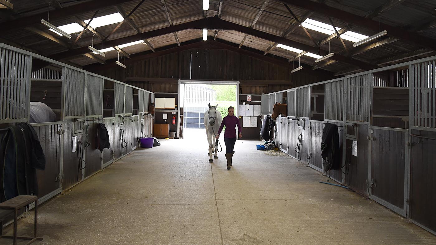 Kitty King yard: the American barn
