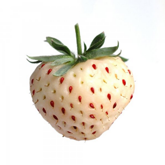 Pineberry