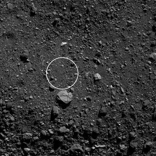 Located in the southern hemisphere of asteroid Bennu, Sandpiper lies on the flat floor of a large crater.