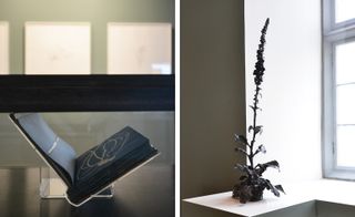 A Weed Is A Plant Out Of Place’. Pictured left: Anna Atkins’ vintage photographs. Right: Foxglove, by Dorothy Cross