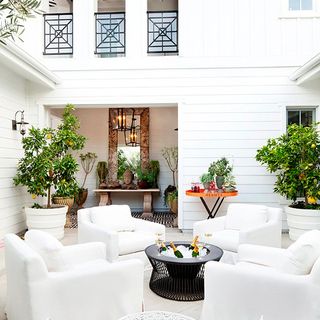 white house with potted plant with sofa set