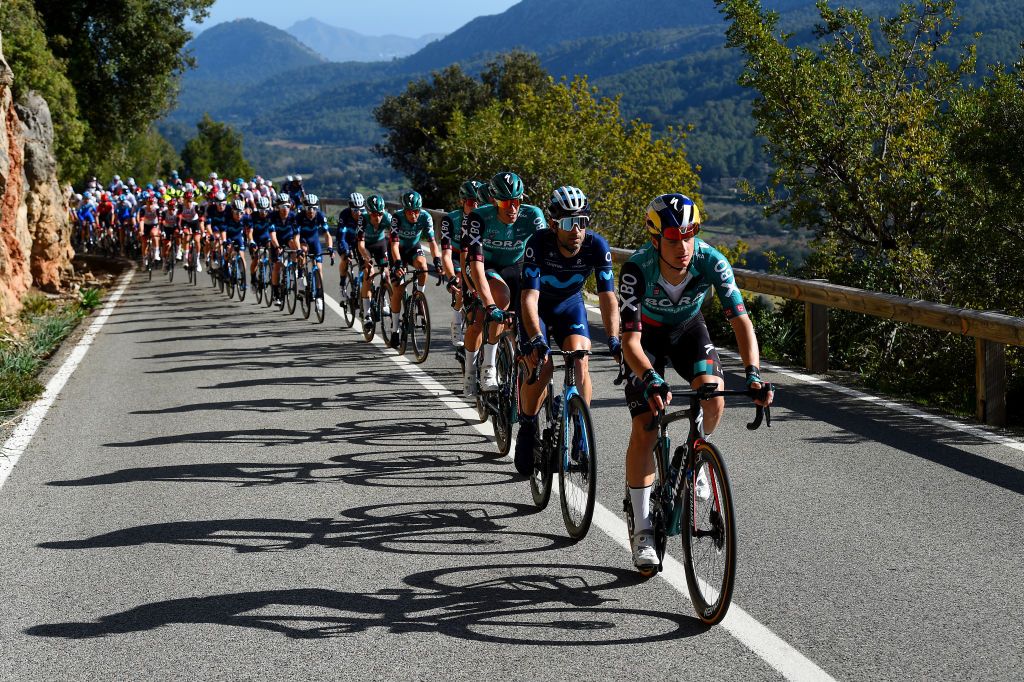 ANDRATX SPAIN JANUARY 29 LR Nils Politt of Germany and Team Bora Hansgrohe Lluis Mas Bonet of Spain and Movistar Team and Anton Palzer of Germany and Team Bora Hansgrohe lead the peloton during the 31st Challenge Ciclista Mallorca 2022 Trofeo Pollena Port d Andratx a 170 km race from Pollena to Andratx 214m ChallengeMallorca on January 29 2022 in Andratx Spain Photo by Dario BelingheriGetty Images