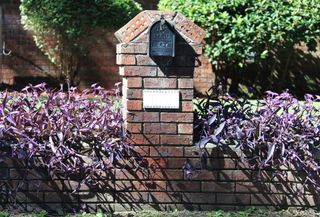 post box attached to garden wall with purple plants
