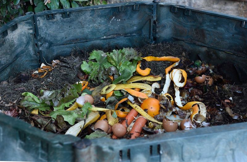 View of Image result for Composting in Tight Quarters