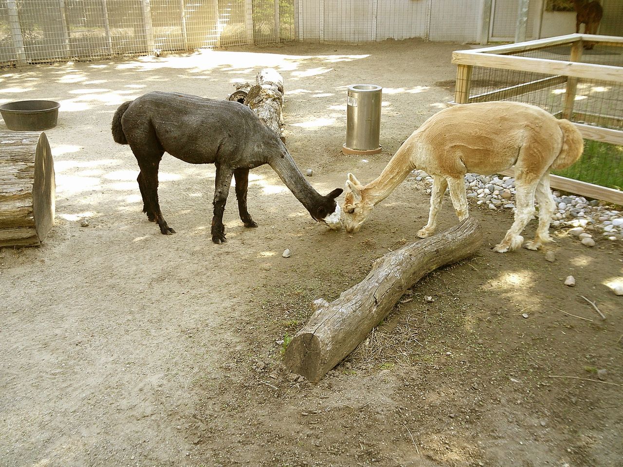 Sample image taken with the Camp Snap 2