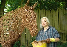 poo-horse-home.JPG