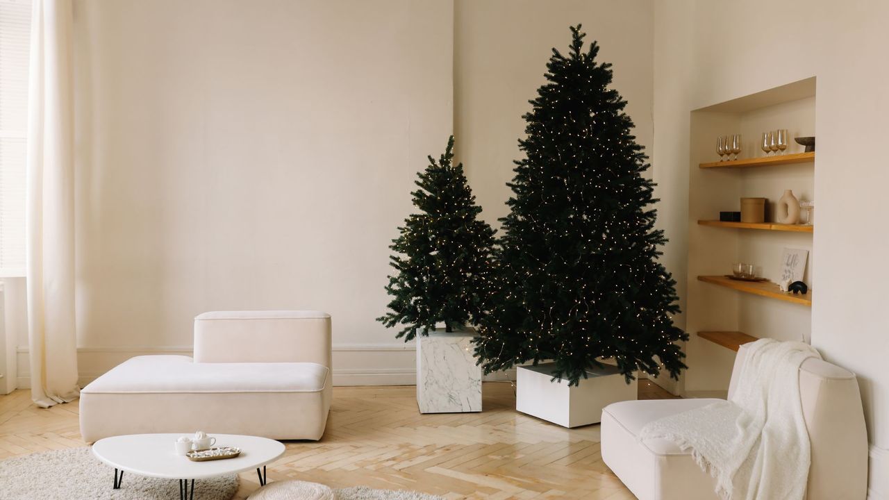 Two potted Christmas trees in a minimalist living room