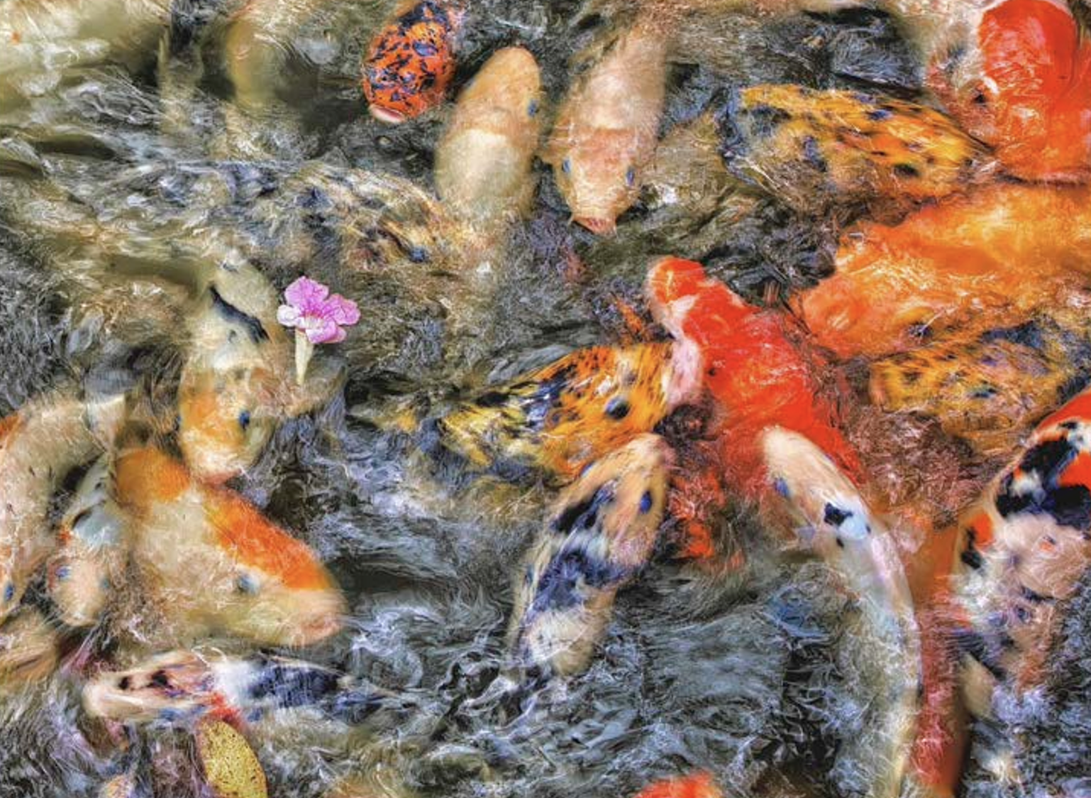 Oscar-nominated filmmaker is reinventing nature and landscape photography and this beautiful free ebook highlights how