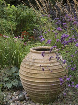 terracotta pot in a mediterranean garden style