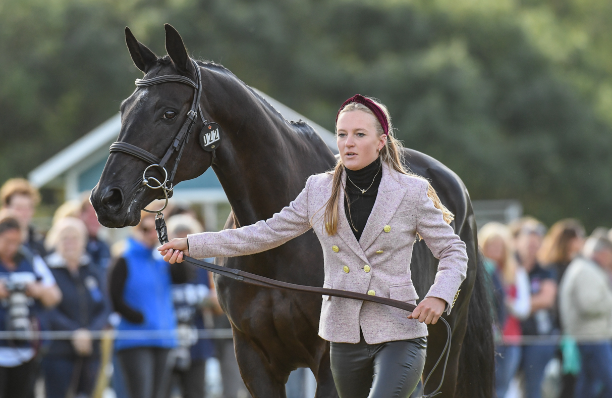 Eliza Stoddart (GBR) riding PRIORSPARK OPPOSITION FREE during the 1st vet check of the Land Rover Burghley Horse Trials in the grounds of Burghley House near Stamford in Lincolnshire in the UK between 5 - 8th September 2019 LRBHT 05 09 2019