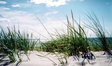 summer-beach-11072702