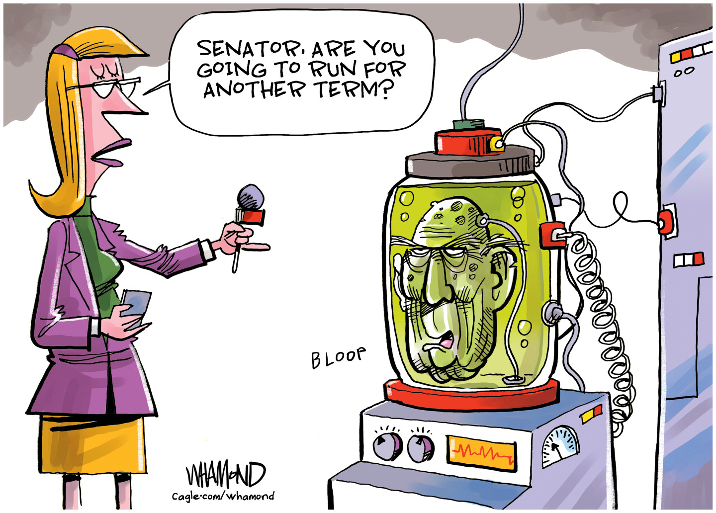 Political Cartoon