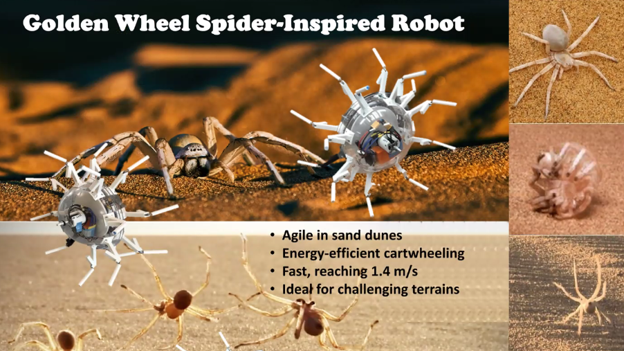 A diagram of a spider-like robot