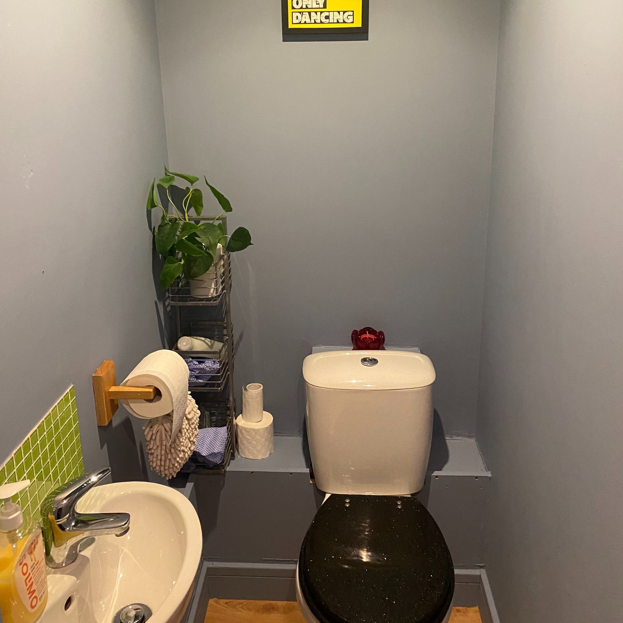 Small WC, with blue walls, green backsplash and faux plant, in garage conversion