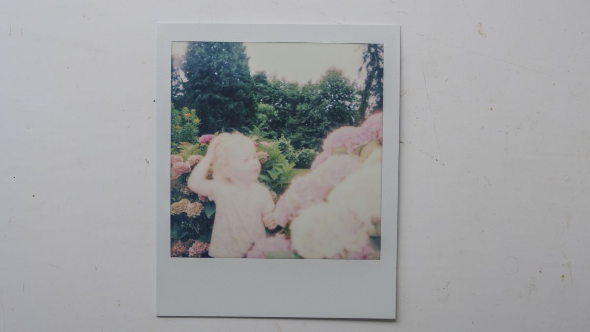 Polaroid Now Plus Sample Image
