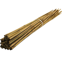 Bamboo canes | £16.99 on Amazon