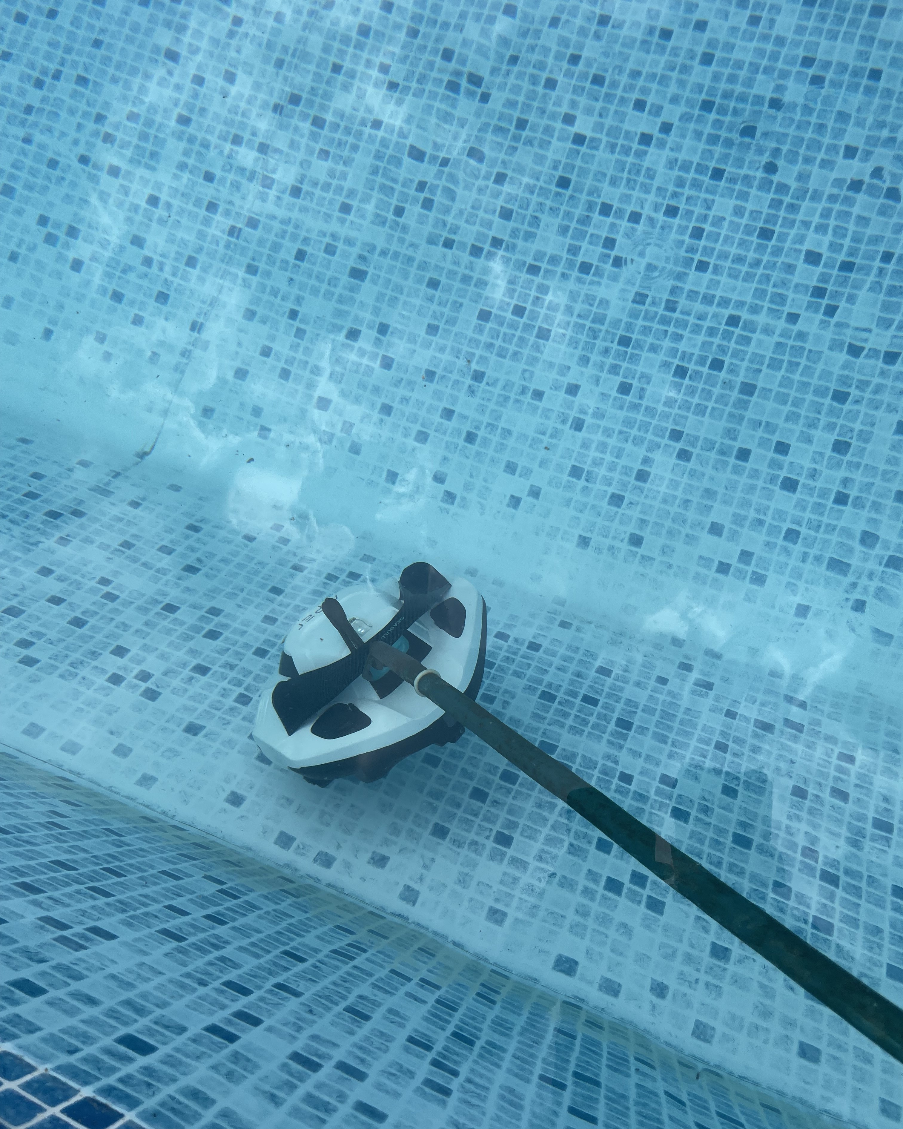 A pool cleaner being taken out of a pool