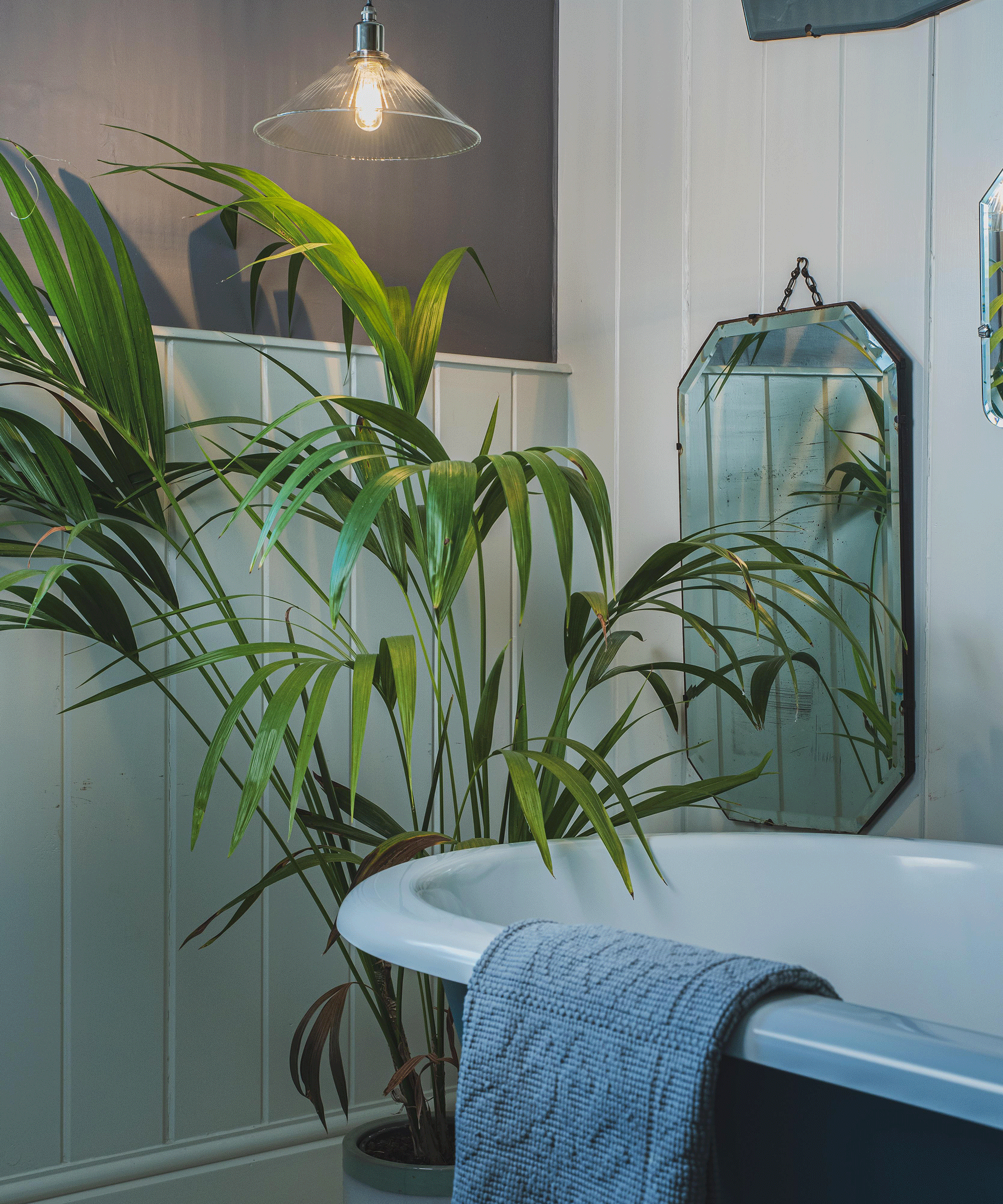Skinny ribbed glass luxury bathroom pendant light hung over pastel blue bath with mirror on wall and palm tree plants