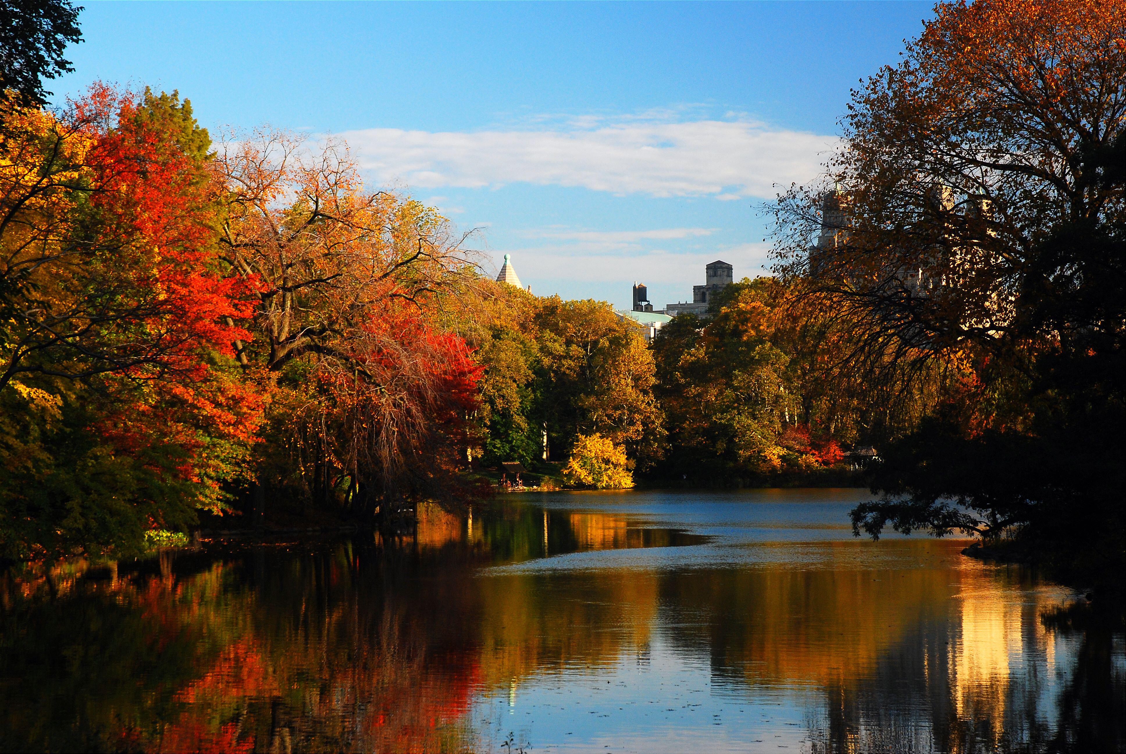 New York's Central Park.