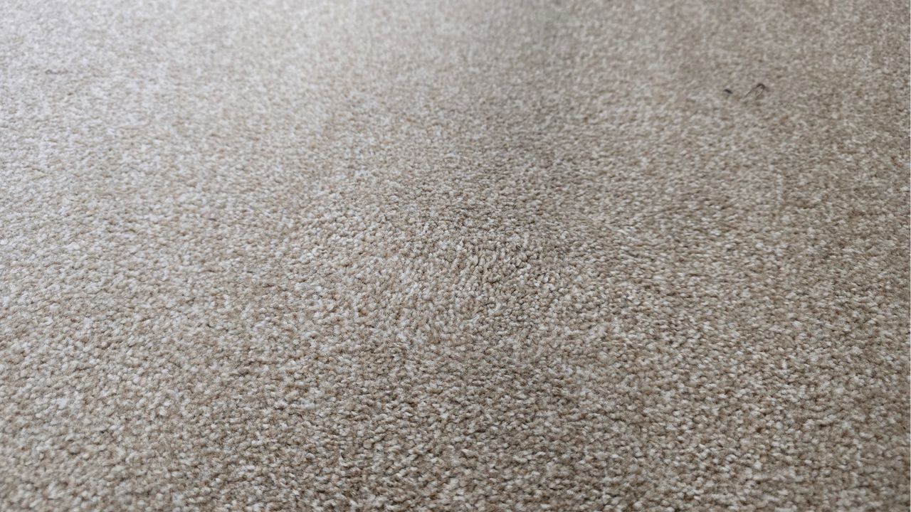 Coffee stain on carpet