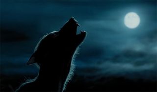 Remus Lupin as a werewolf