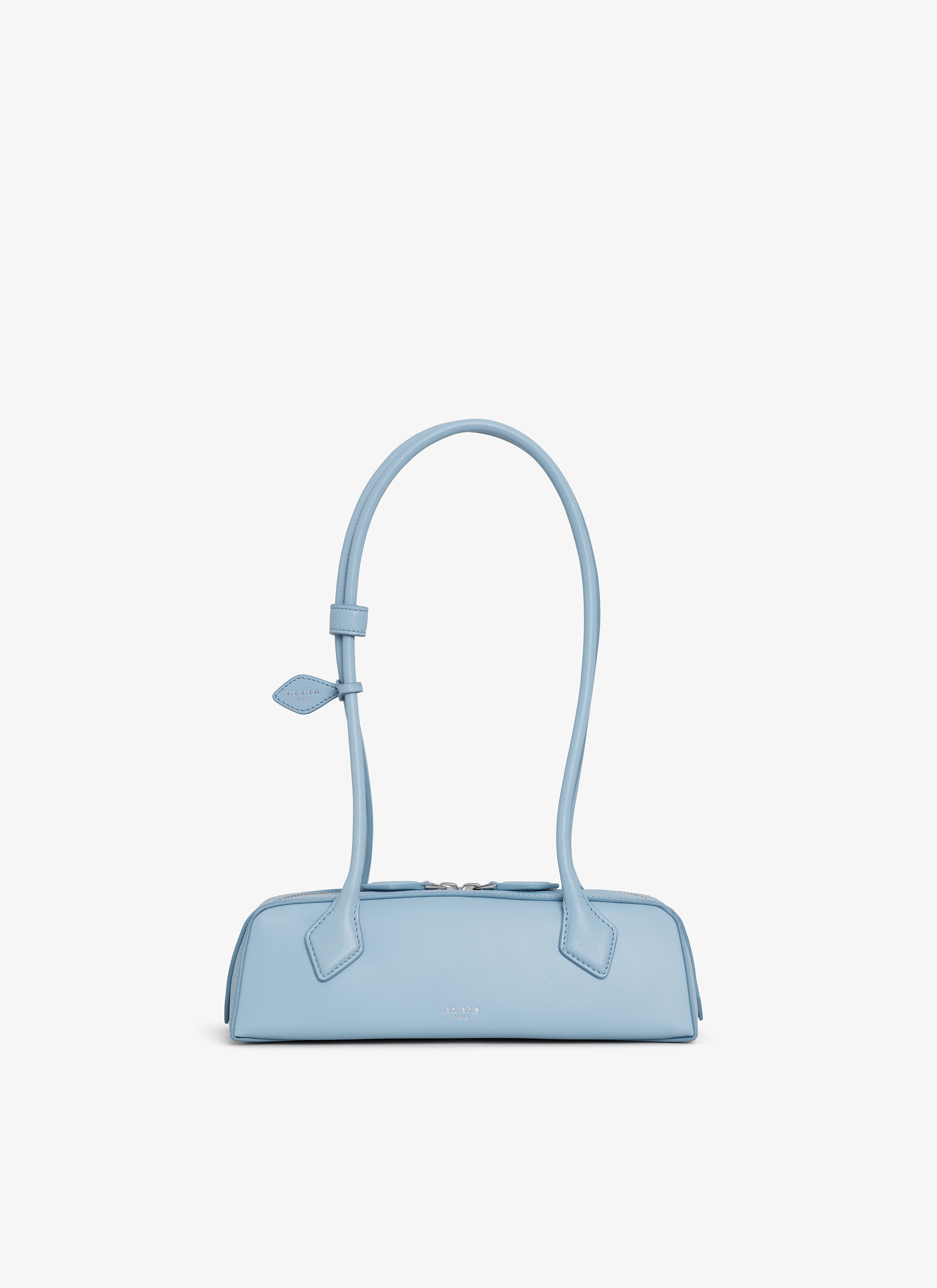 Blue Le Teckel Small Bag in Leather