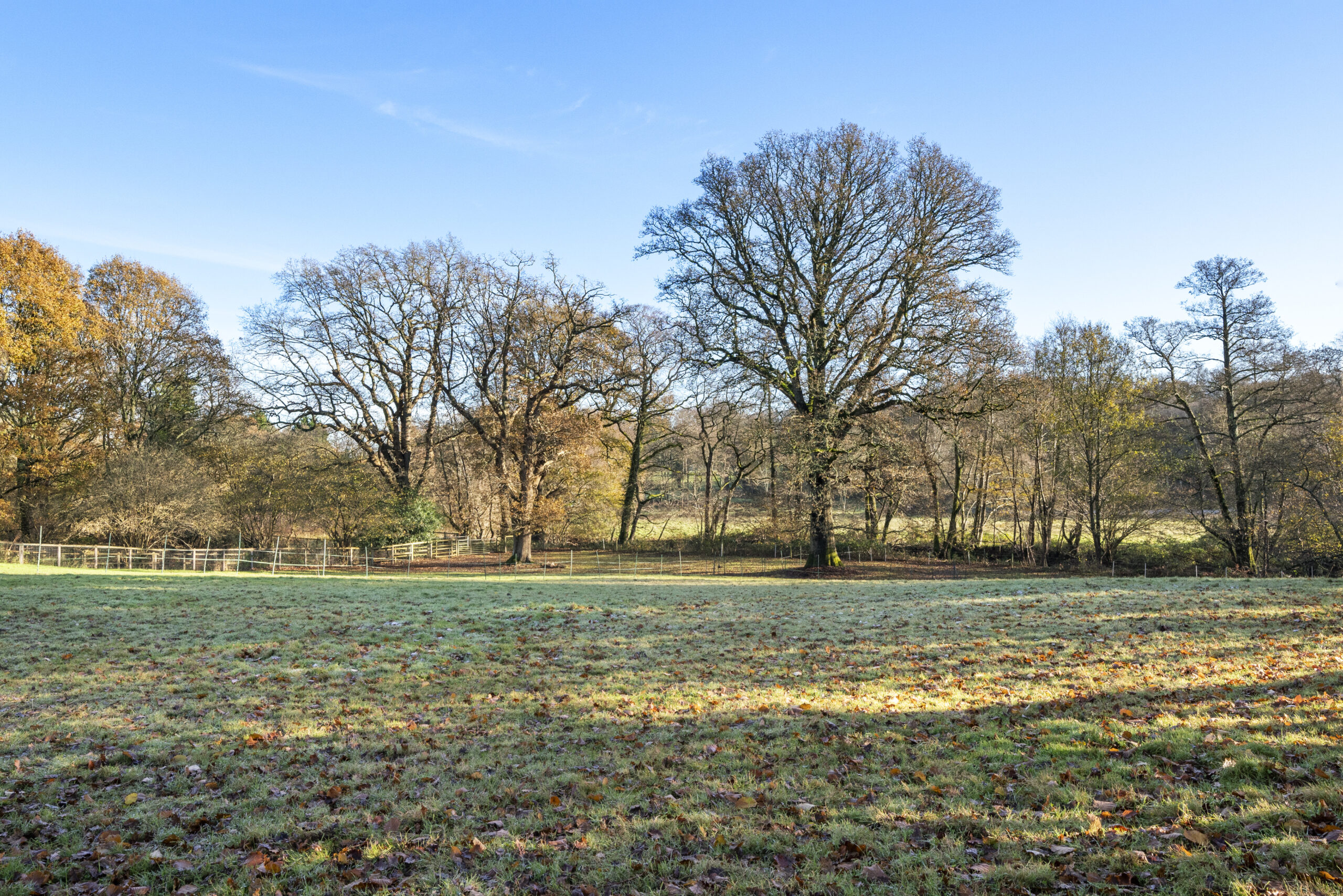 2-Oaktree-House-East-Sussex-TN7-scaled.jpg