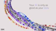 Your AI is only as good as your data