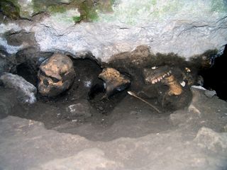 Here, the Dmanisi cranium alongside herbivore fossil remains in situ at the excavation site in Dmanisi, Republic of Georgia.