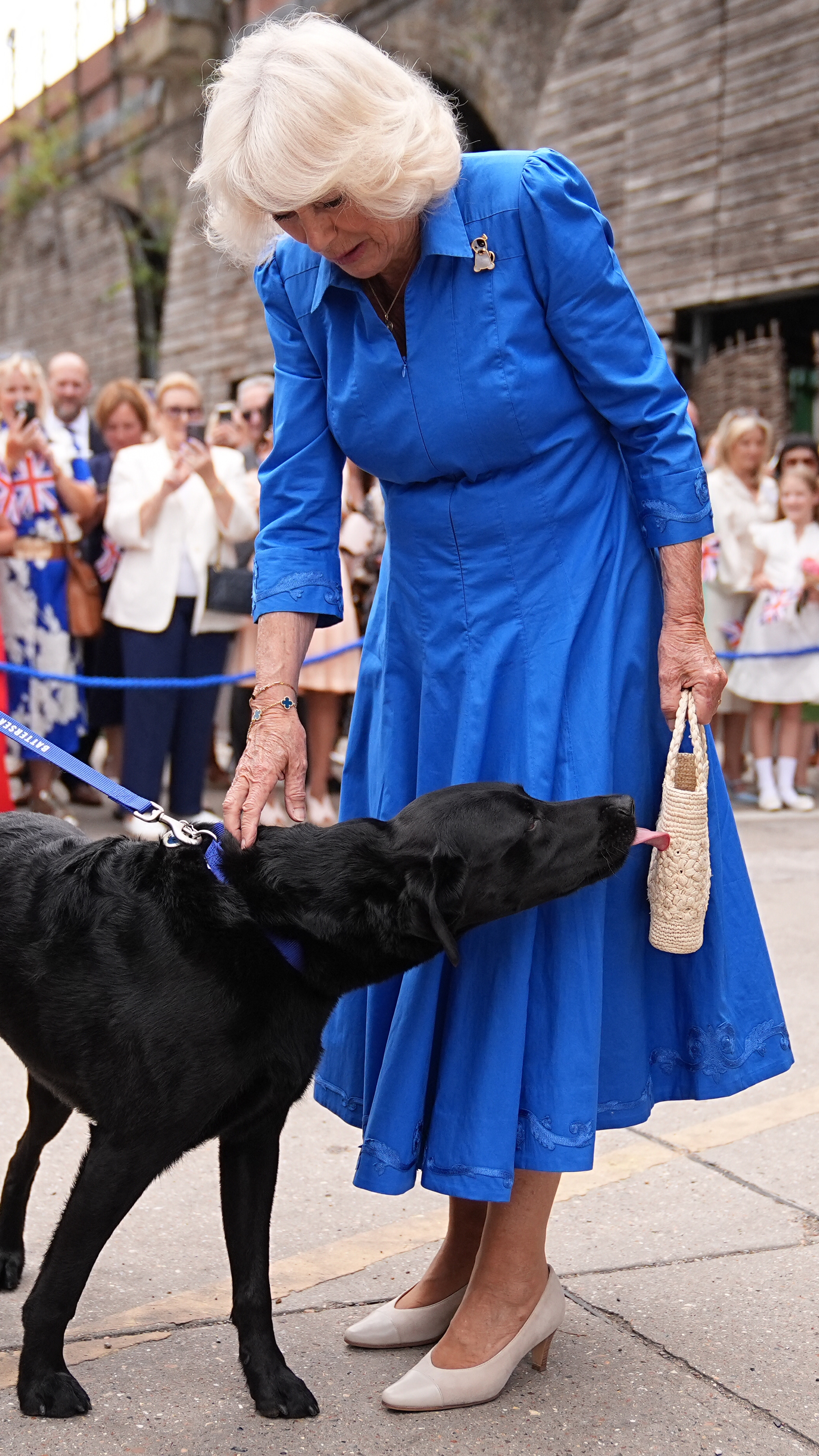 Queen Camilla meets a dog who tries to lick her handbag during a visit to unveil the Royal Horticultural Society (RHS) and BBC Radio 2 'Dog Garden'