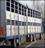 horsebox8.jpg