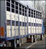 horsebox8.jpg