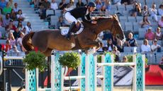Pieter Devos and Mom's Topie De La Roque jump a fence as the win the LGCT London grand prix