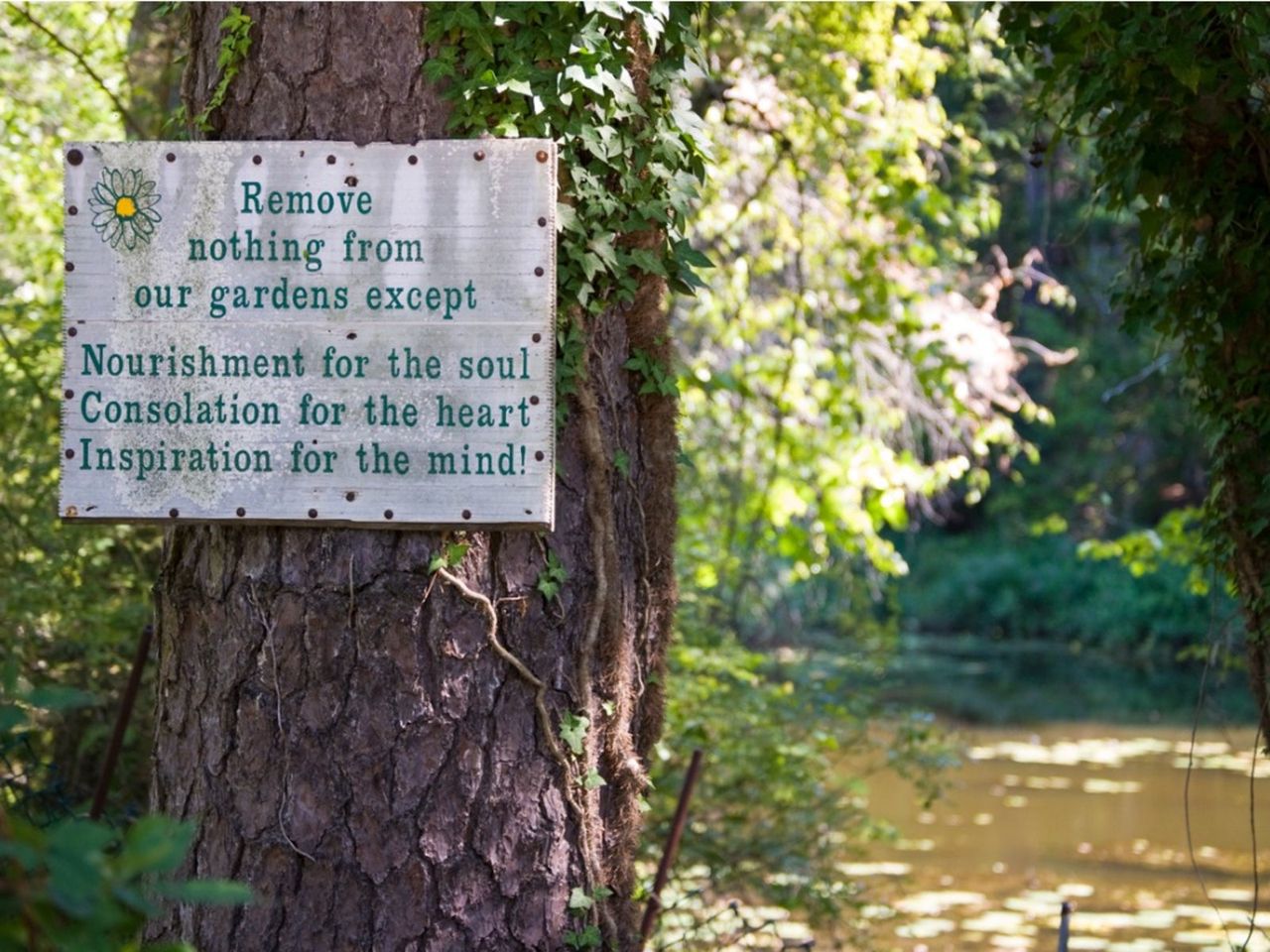 Garden Laws Posted On A Tree