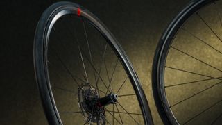 A close up of two Fulcrum wheels posed at an angle from each other, on top of a black and gold background