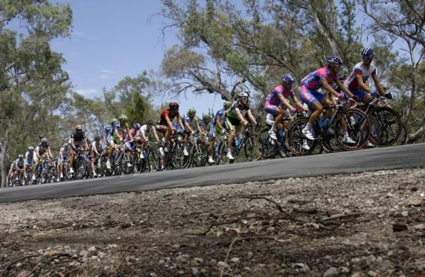 The pack on one of the climbs